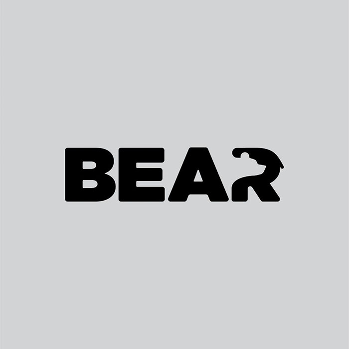 bear(ayı)